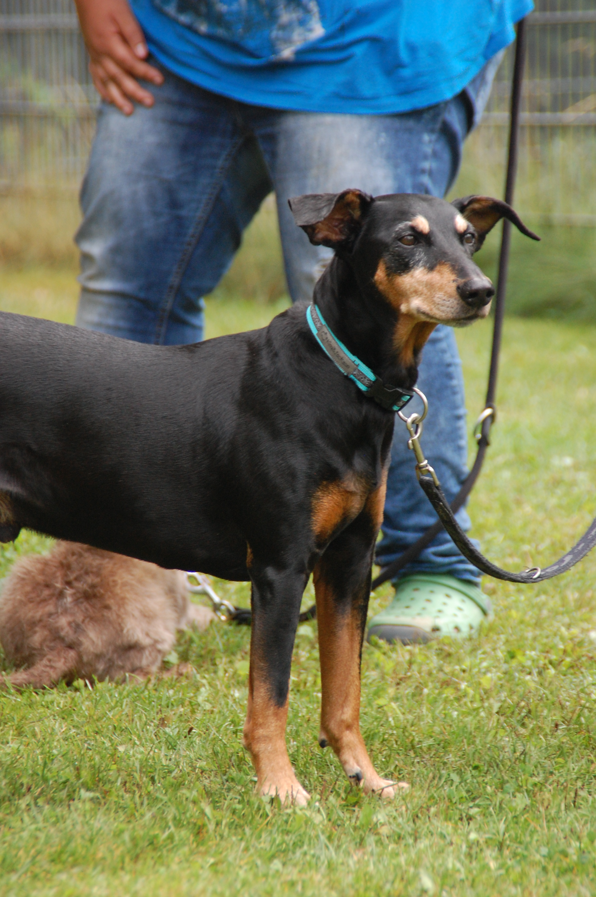 tag der offenen tuer2016 (109)