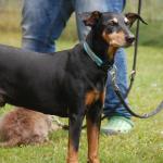 tag der offenen tuer2016 (109)