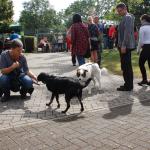 tag der offenen tuer2016 (11)