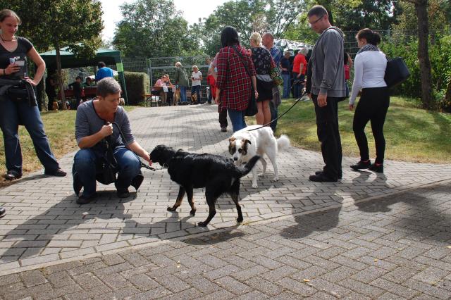 tag der offenen tuer2016 (11)