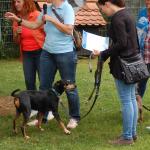 tag der offenen tuer2016 (110)