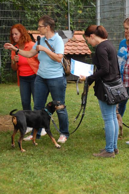 tag der offenen tuer2016 (110)