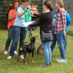 tag der offenen tuer2016 (111)