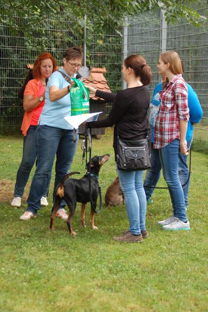 tag der offenen tuer2016 (111)