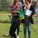 tag der offenen tuer2016 (113)