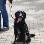 tag der offenen tuer2016 (12)