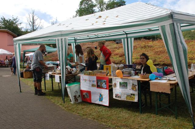 tag der offenen tuer2016 (131)