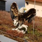 tag der offenen tuer2016 (132)