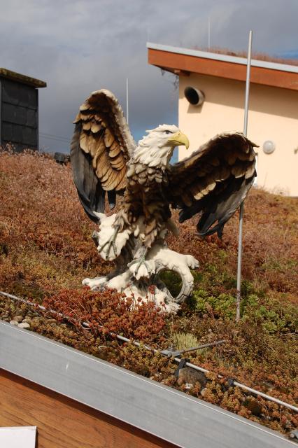 tag der offenen tuer2016 (132)