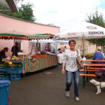 tag der offenen tuer2016 (138)