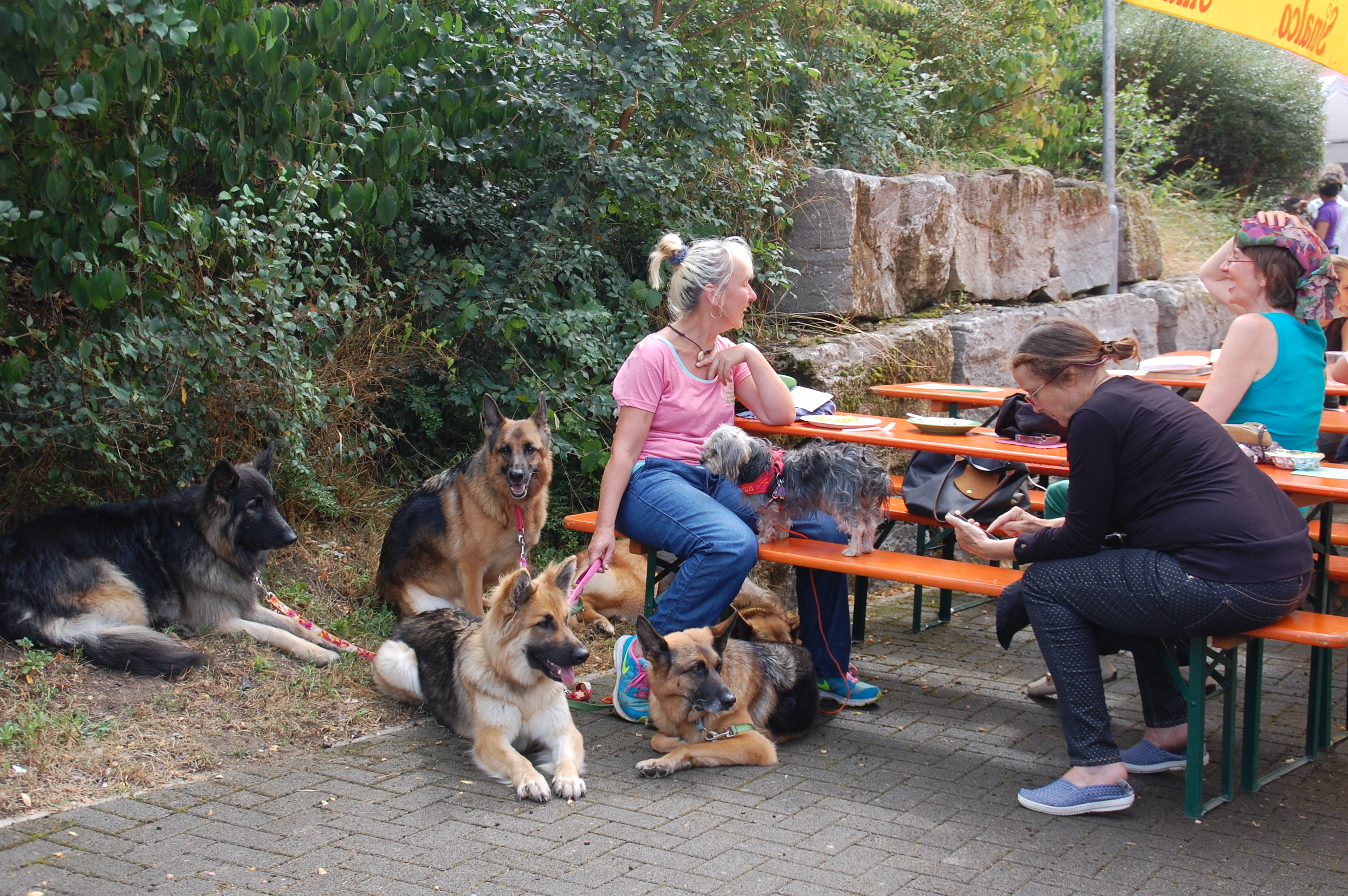 tag der offenen tuer2016 (147)