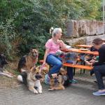 tag der offenen tuer2016 (147)