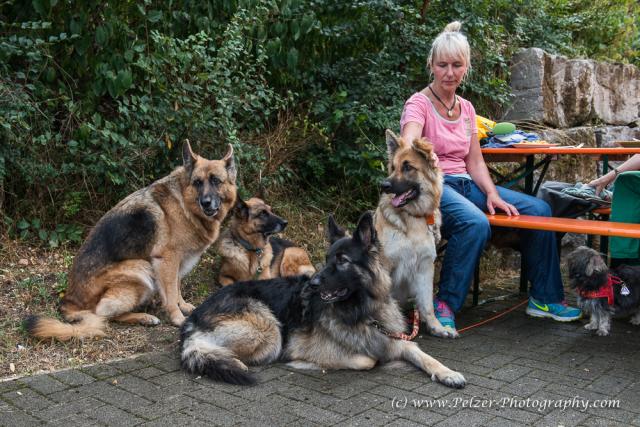 THWI_80D5206_04Sep2016