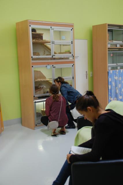 tag der offenen tuer2016 (17)