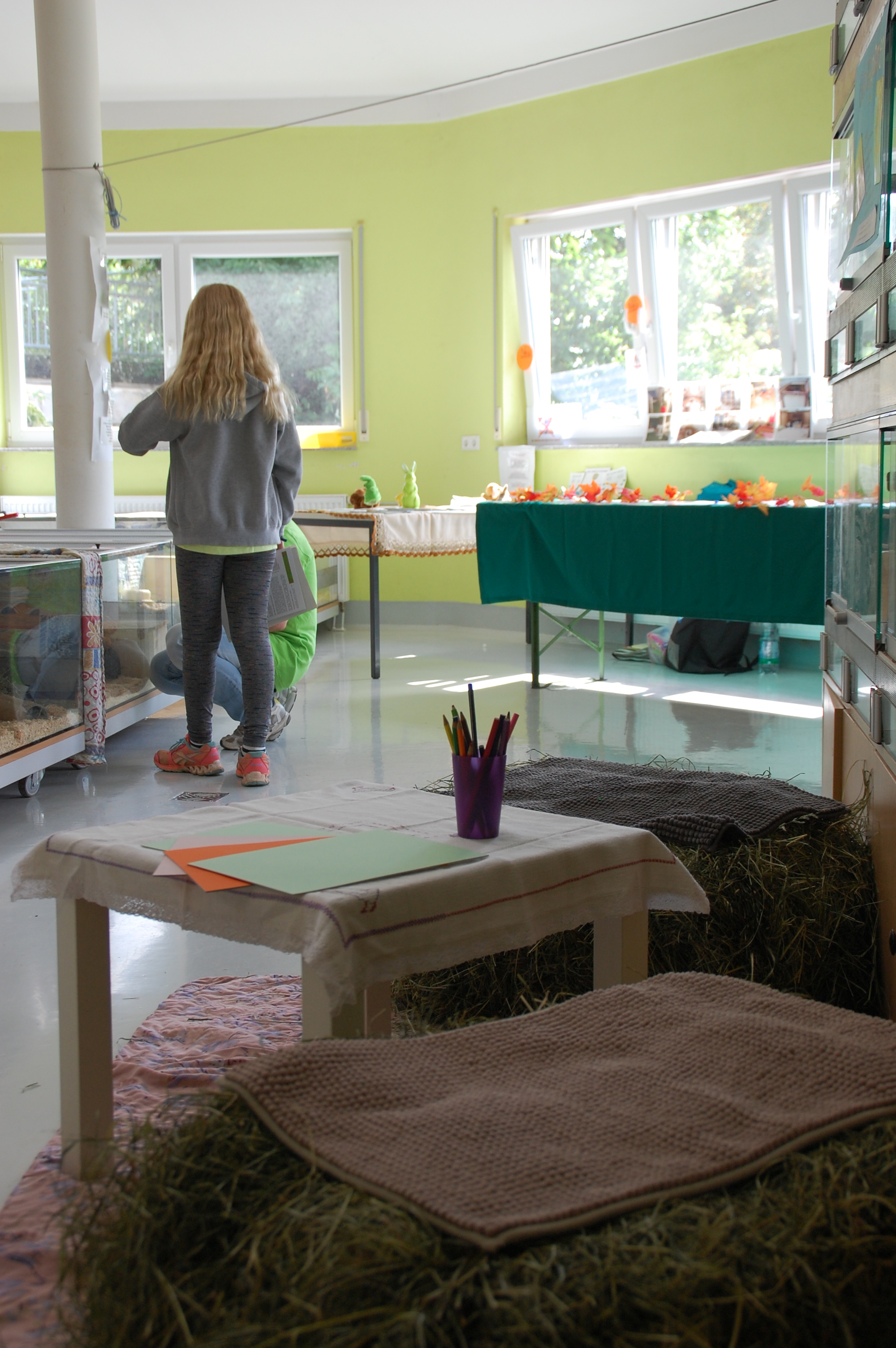 tag der offenen tuer2016 (18)