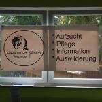 tag der offenen tuer2016 (19)