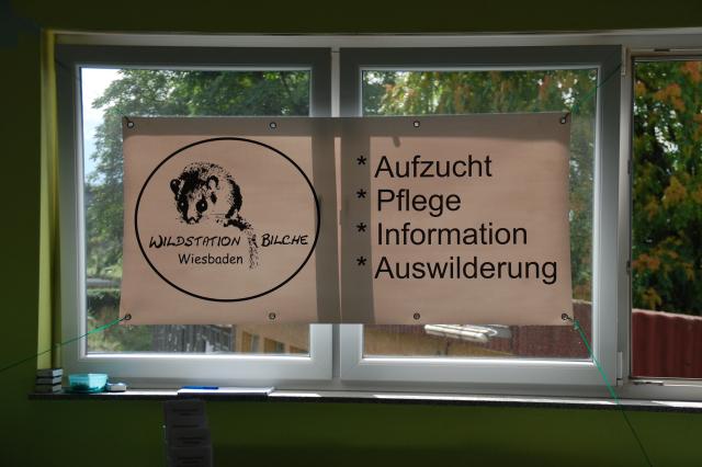 tag der offenen tuer2016 (19)