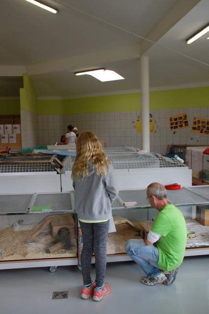 tag der offenen tuer2016 (20)