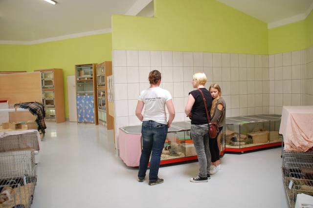 tag der offenen tuer2016 (22)