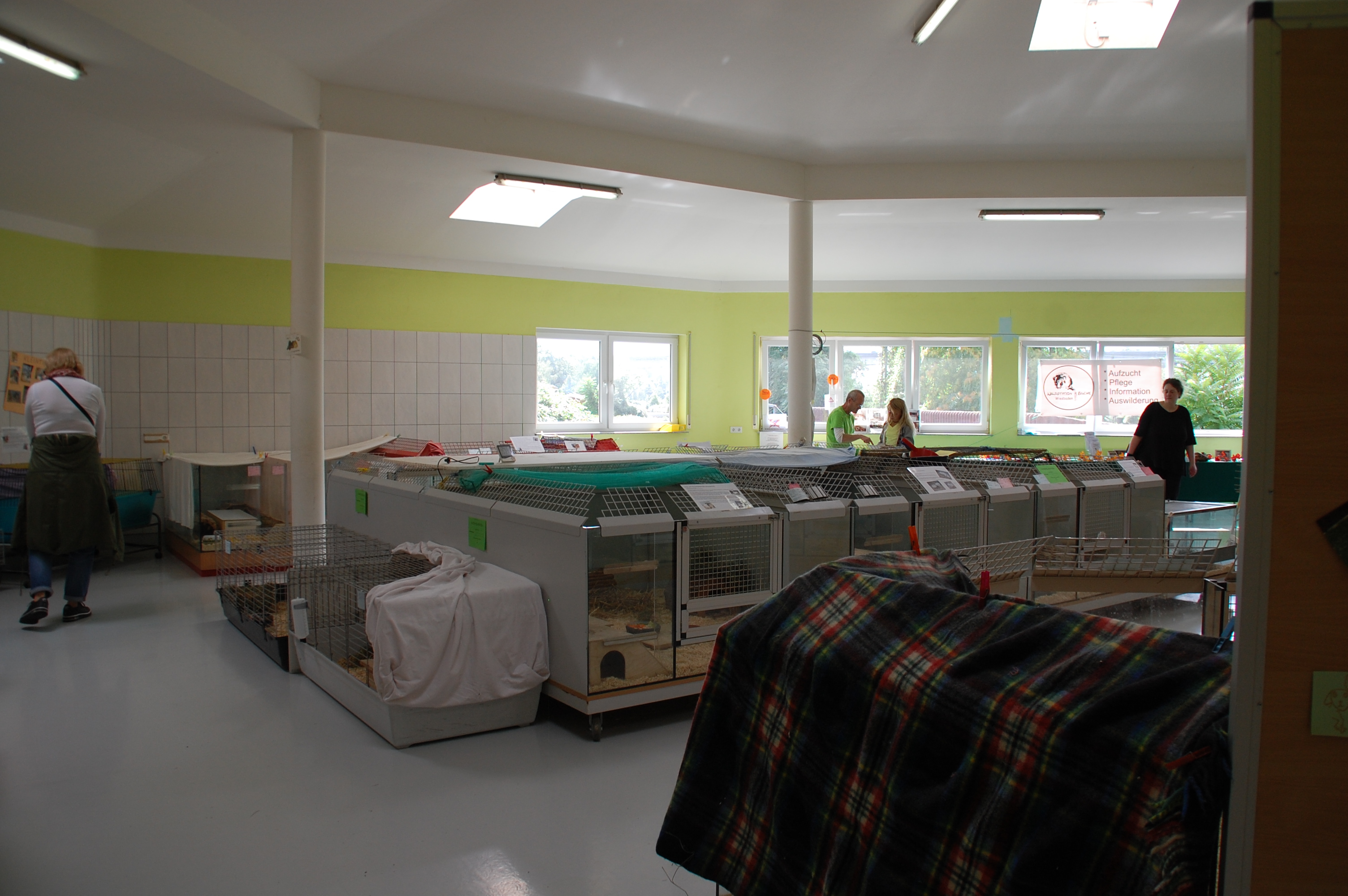 tag der offenen tuer2016 (25)