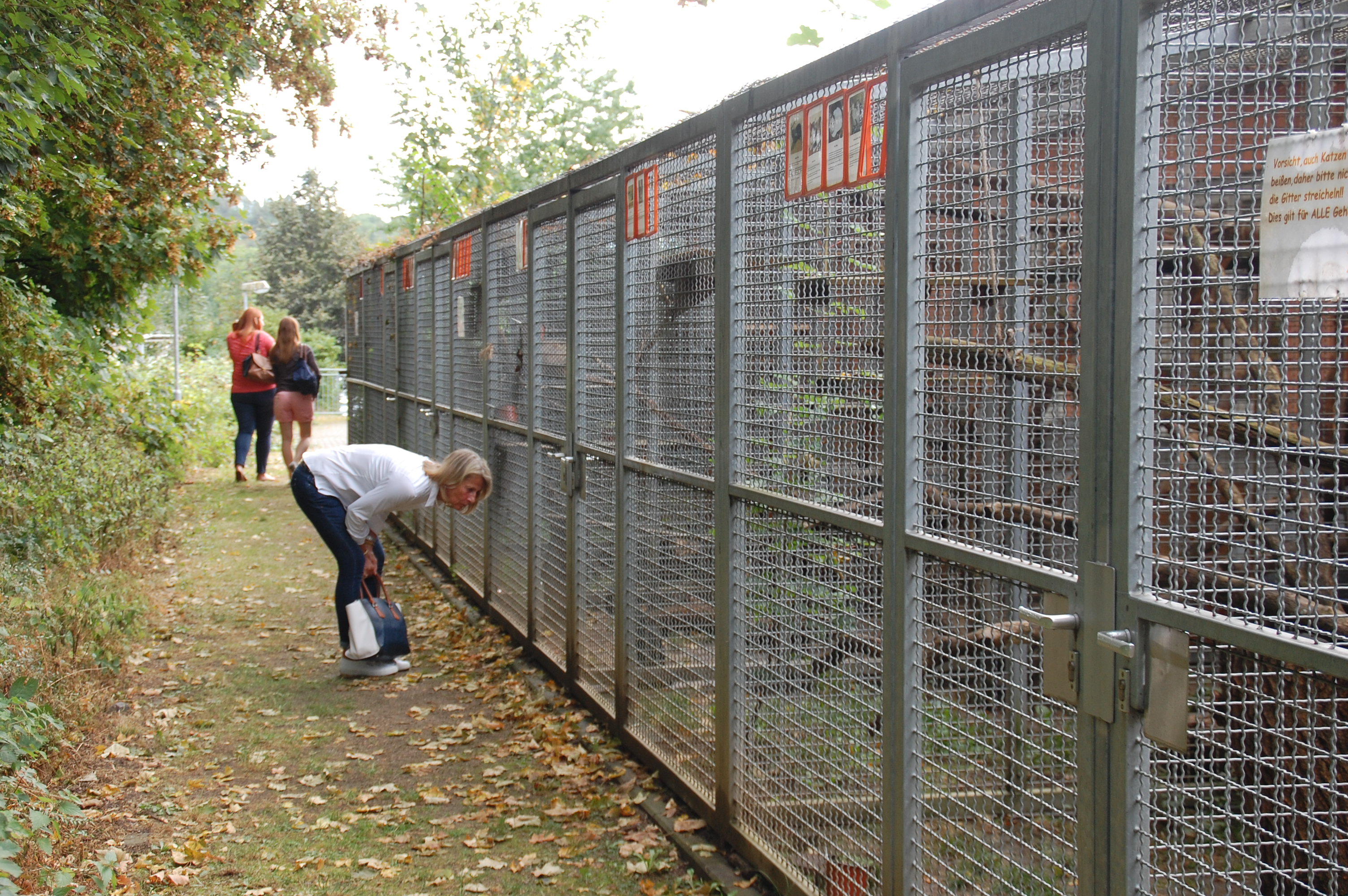 tag der offenen tuer2016 (29)