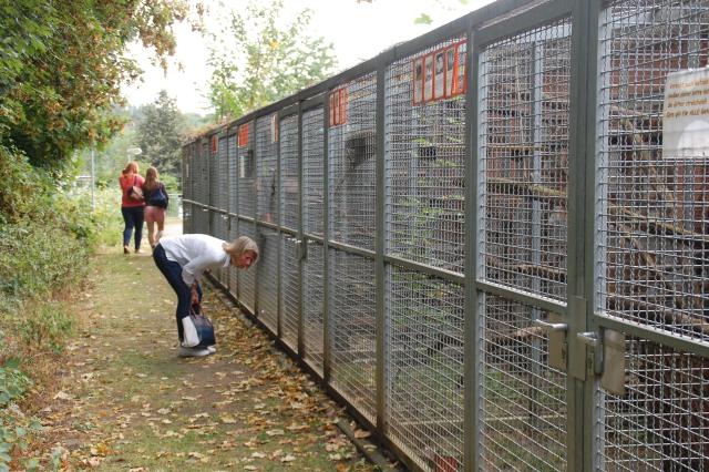 tag der offenen tuer2016 (29)