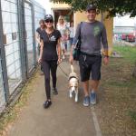 tag der offenen tuer2016 (32)