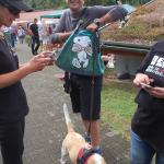 tag der offenen tuer2016 (36)