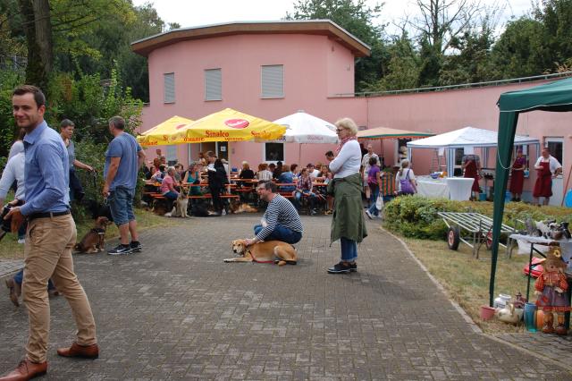 tag der offenen tuer2016 (39)