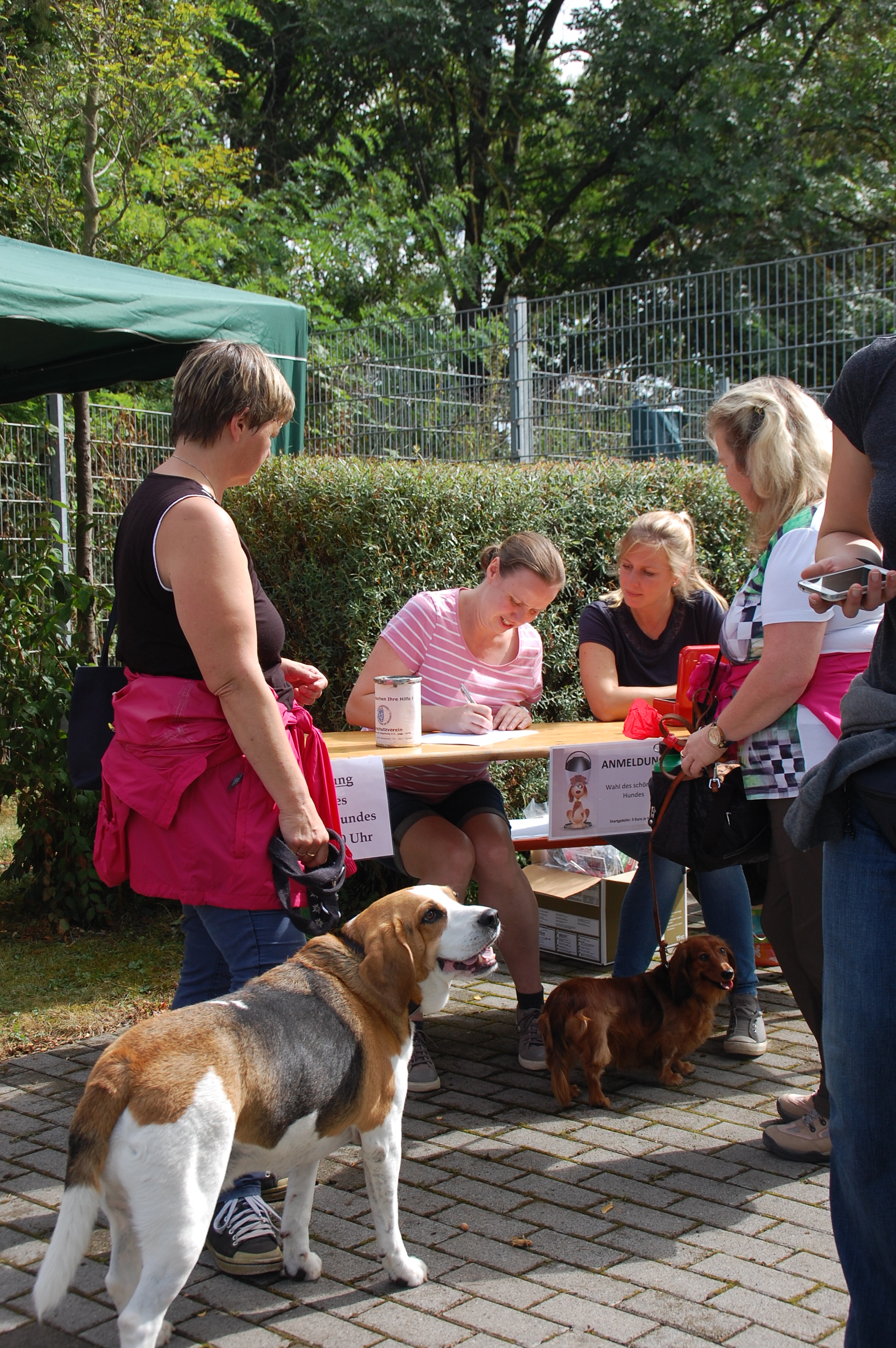 tag der offenen tuer2016 (4)