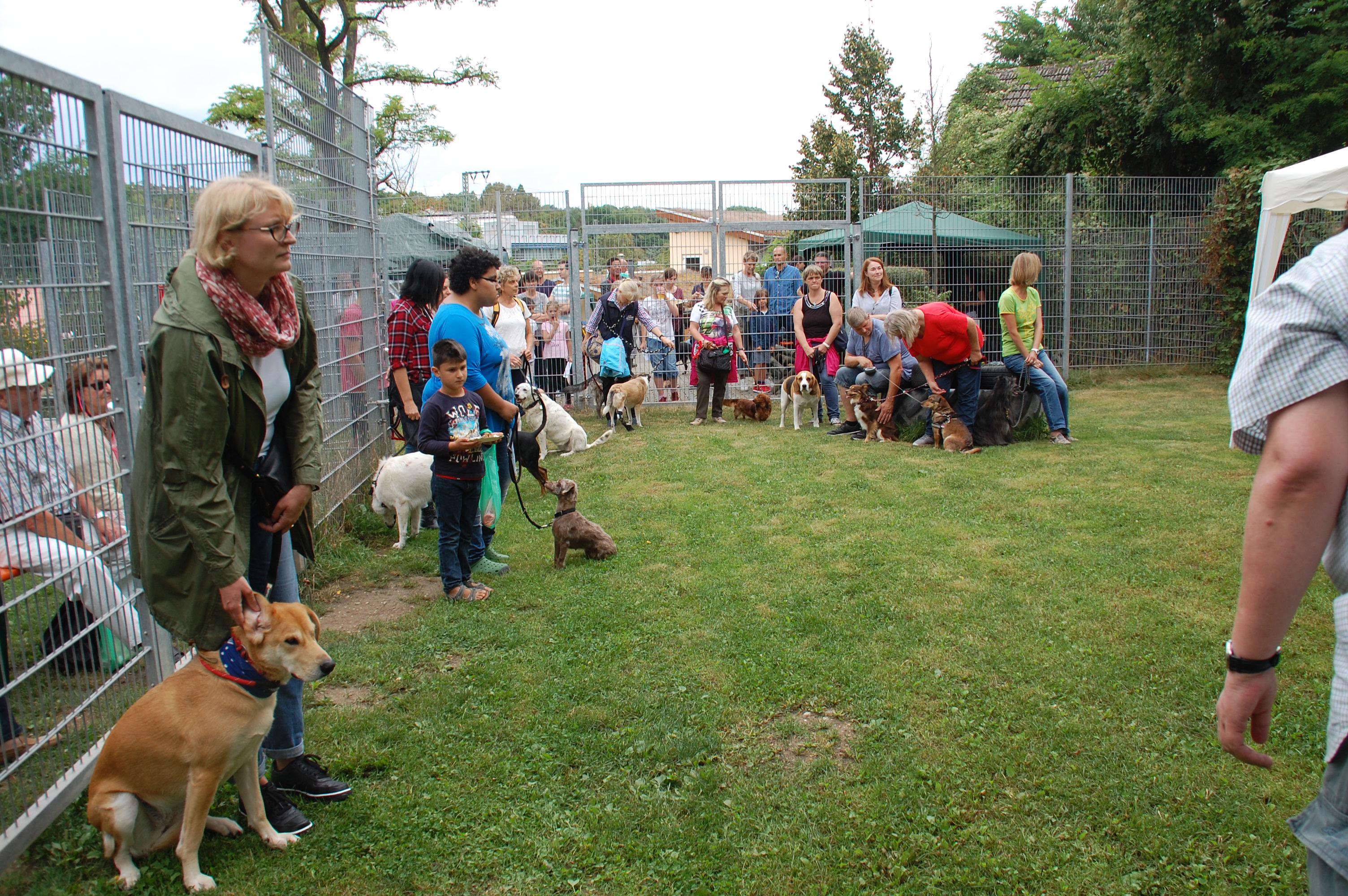 tag der offenen tuer2016 (43)