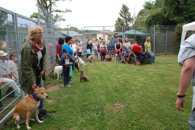 tag der offenen tuer2016 (43)