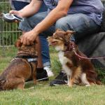 tag der offenen tuer2016 (47)