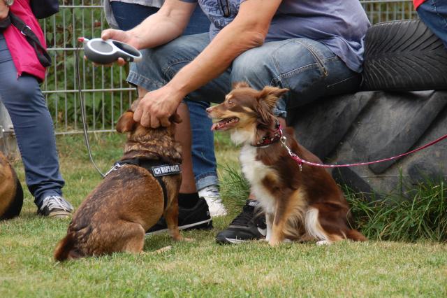 tag der offenen tuer2016 (47)