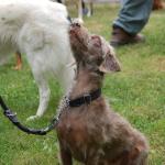 tag der offenen tuer2016 (48)