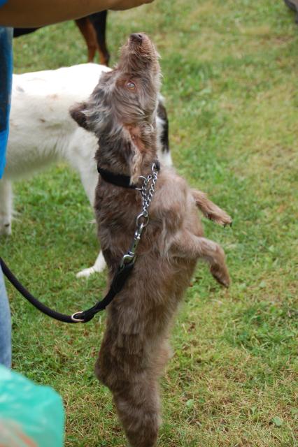 tag der offenen tuer2016 (49)