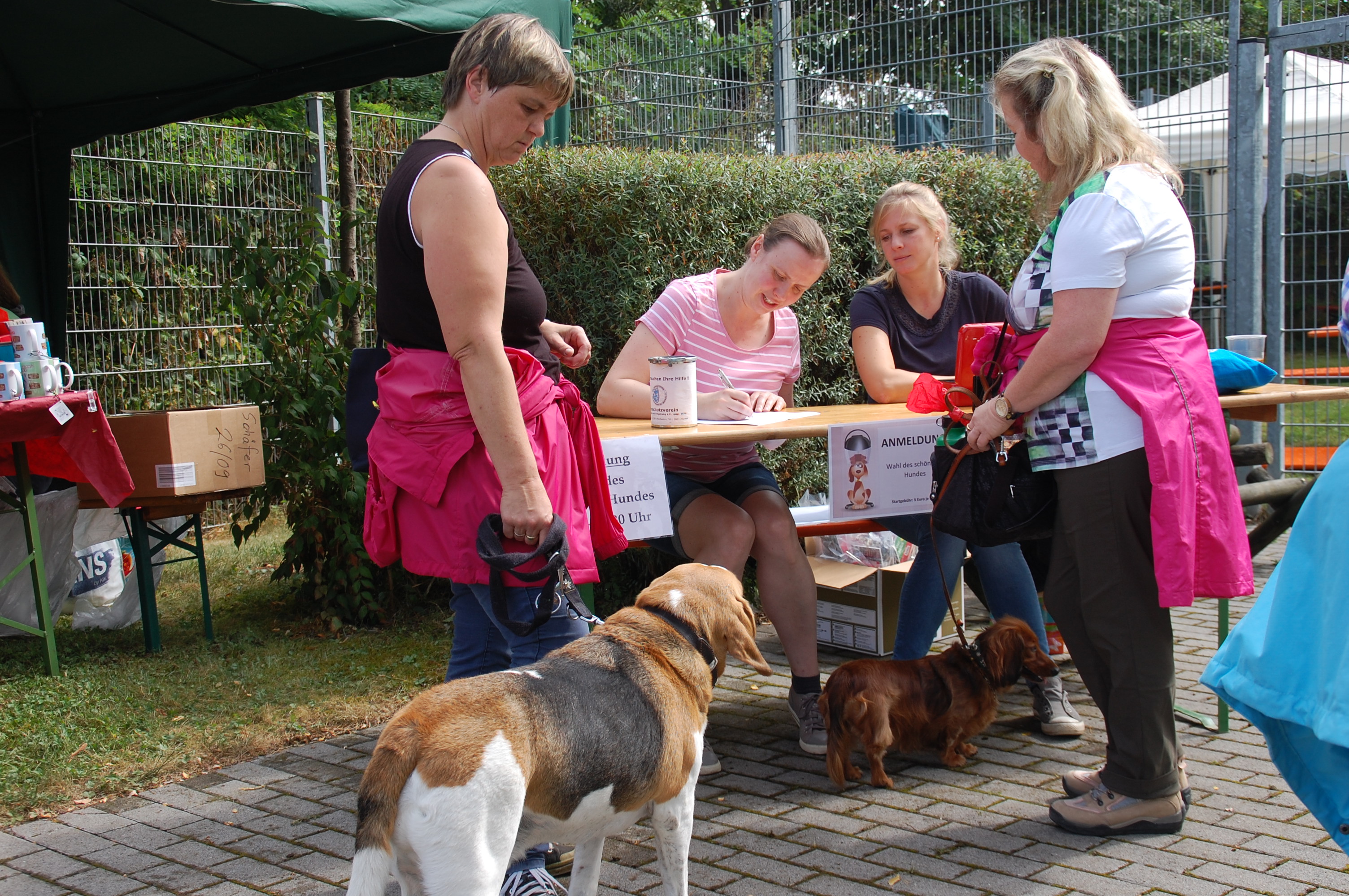 tag der offenen tuer2016 (5)