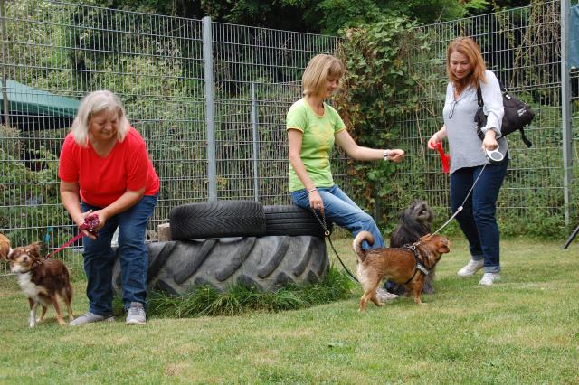 tag der offenen tuer2016 (53)