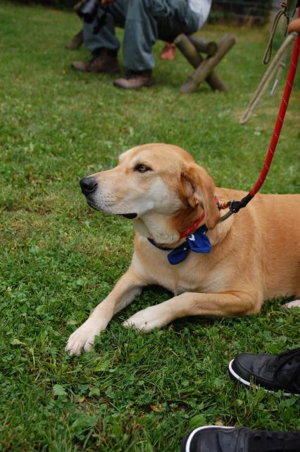 tag der offenen tuer2016 (54)