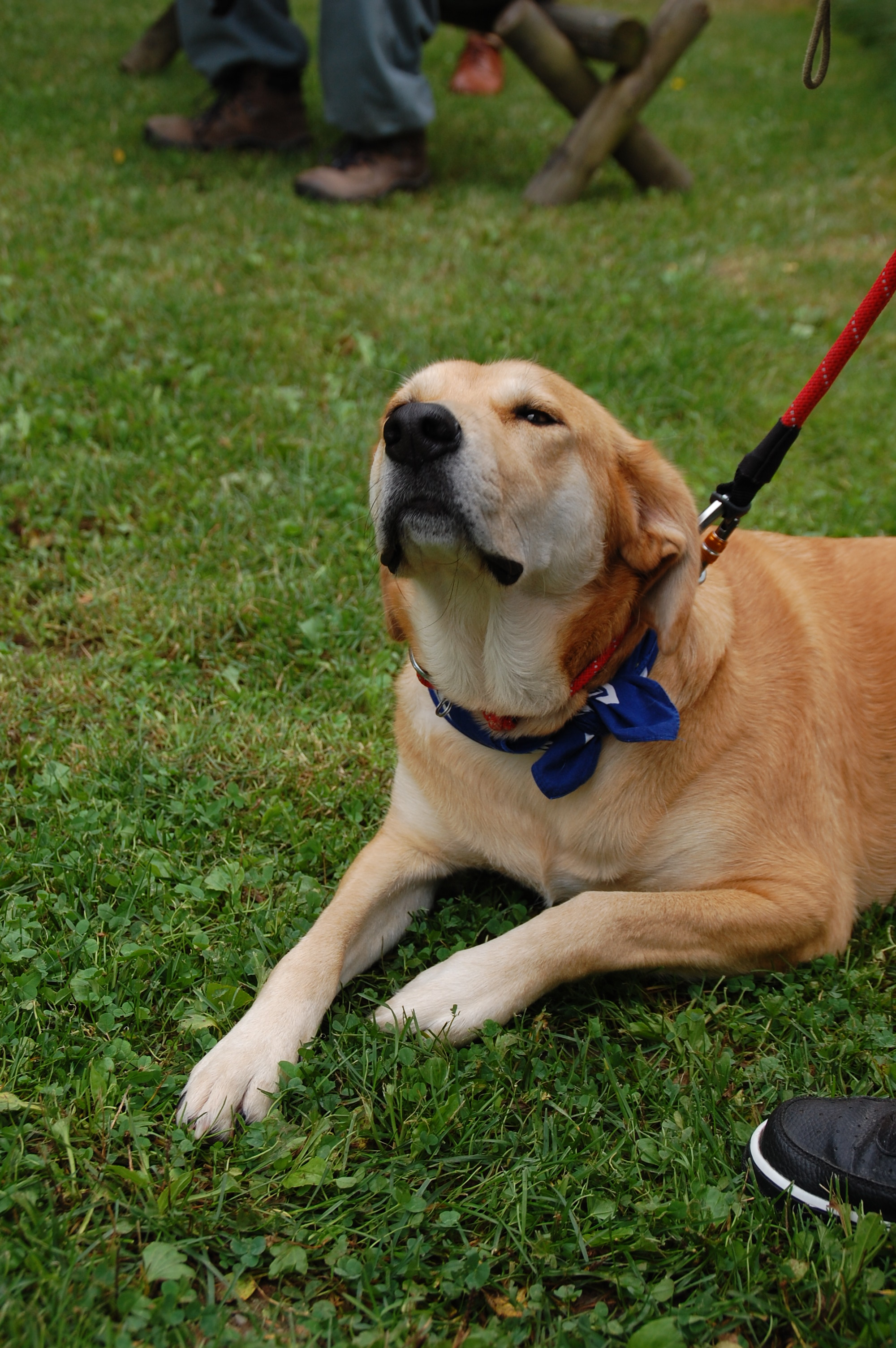 tag der offenen tuer2016 (55)