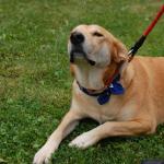 tag der offenen tuer2016 (55)