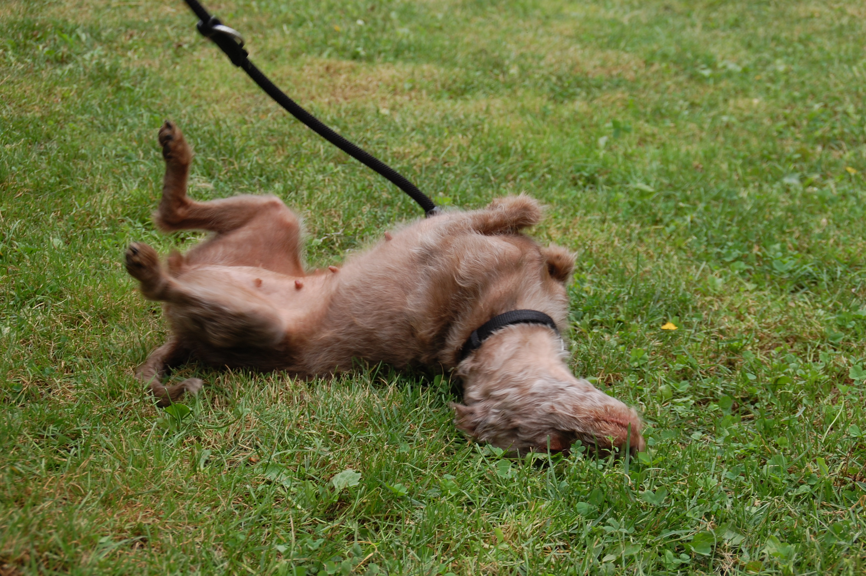 tag der offenen tuer2016 (57)