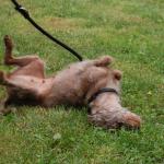 tag der offenen tuer2016 (57)