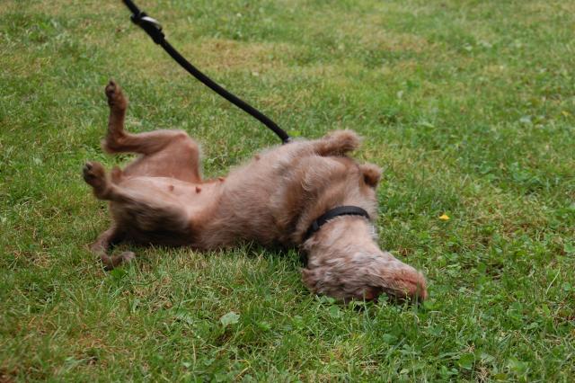 tag der offenen tuer2016 (57)