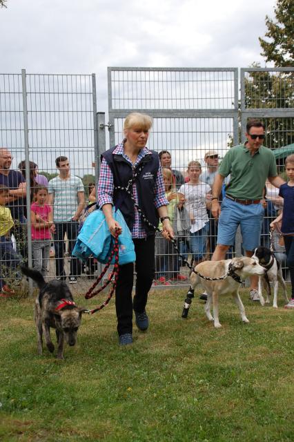 tag der offenen tuer2016 (59)