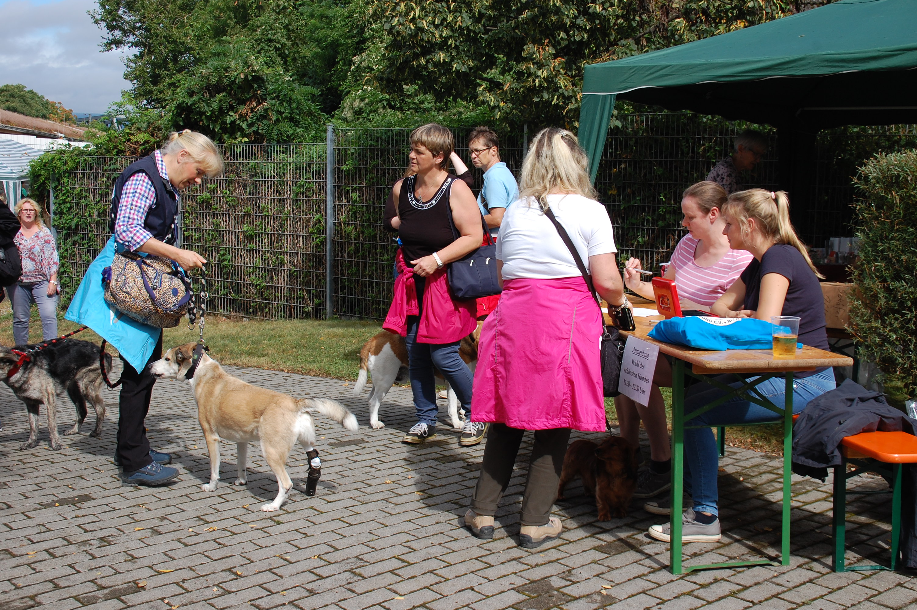 tag der offenen tuer2016 (6)