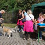 tag der offenen tuer2016 (6)