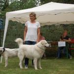 tag der offenen tuer2016 (61)