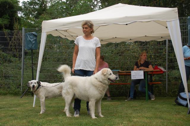 tag der offenen tuer2016 (61)