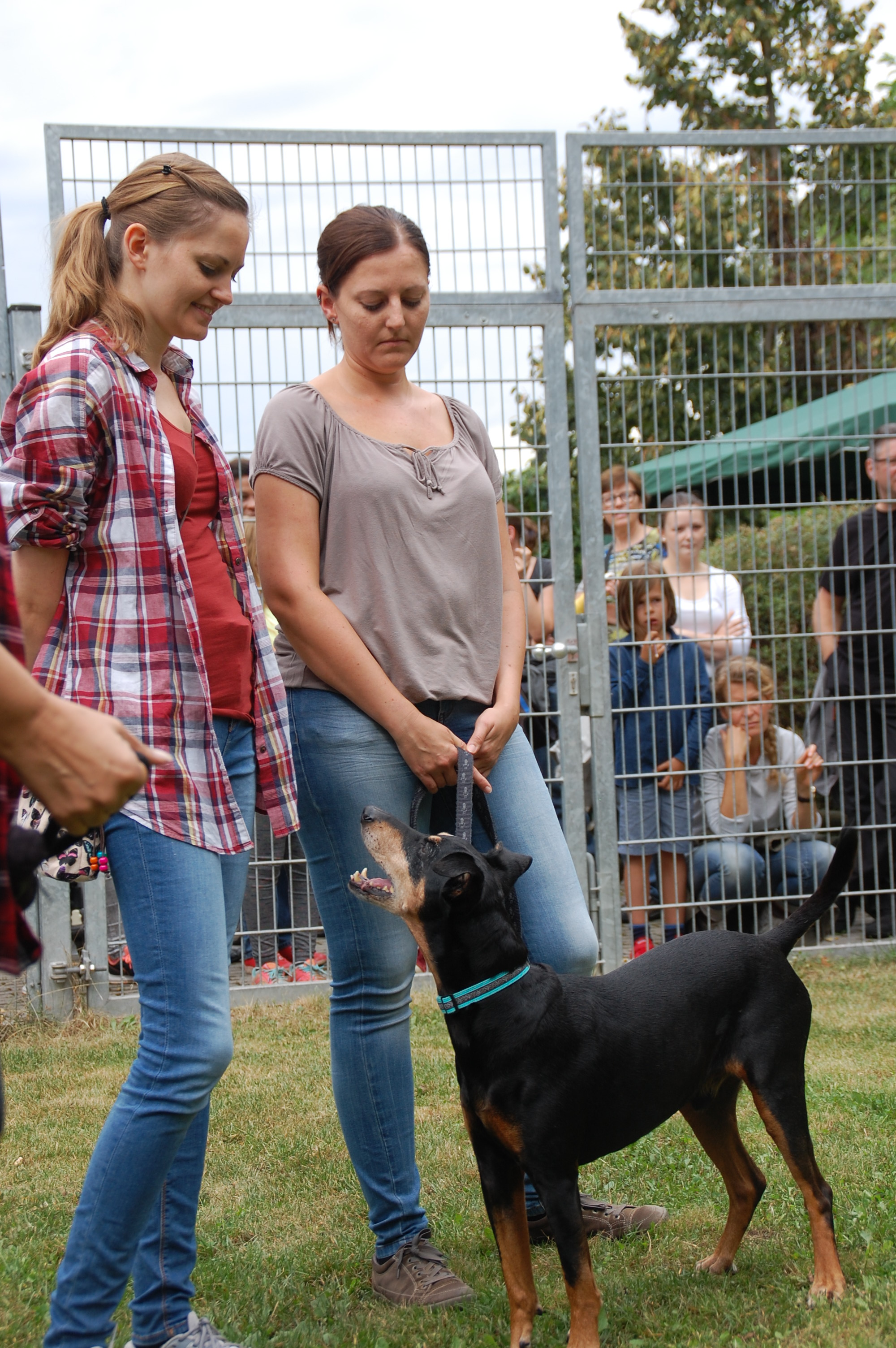 tag der offenen tuer2016 (63)